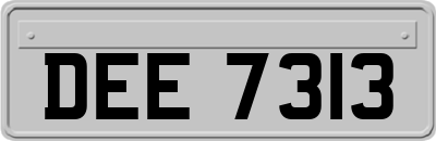 DEE7313