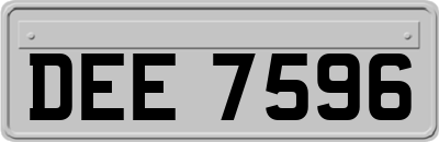 DEE7596