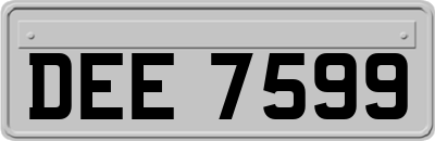 DEE7599