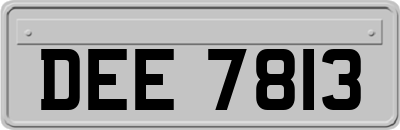 DEE7813