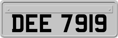 DEE7919
