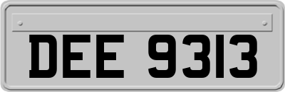 DEE9313