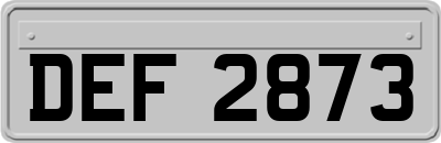 DEF2873