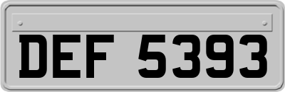 DEF5393