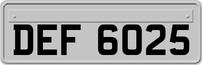 DEF6025