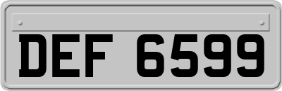 DEF6599