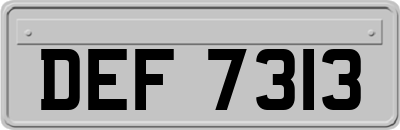 DEF7313