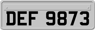 DEF9873