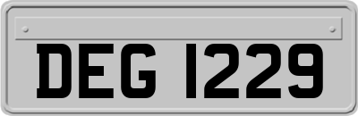 DEG1229