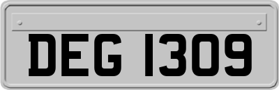 DEG1309