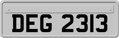 DEG2313