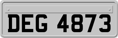 DEG4873