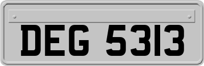 DEG5313