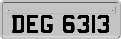 DEG6313
