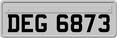 DEG6873