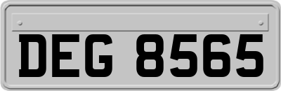 DEG8565