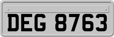 DEG8763