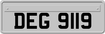 DEG9119