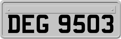 DEG9503