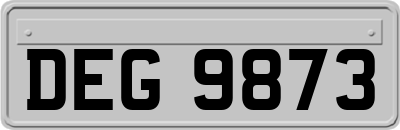 DEG9873