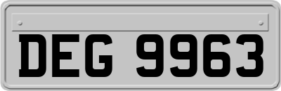 DEG9963