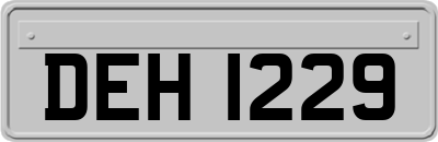 DEH1229