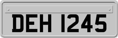 DEH1245