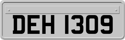 DEH1309