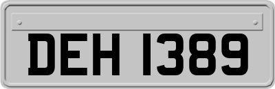 DEH1389