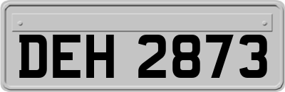 DEH2873