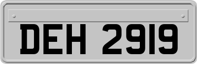 DEH2919