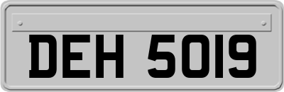 DEH5019