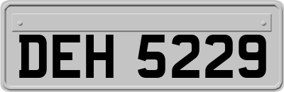 DEH5229