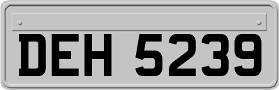 DEH5239