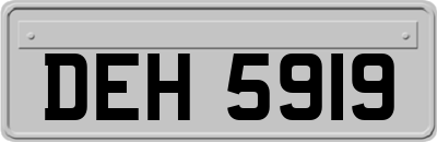 DEH5919