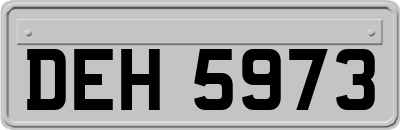DEH5973
