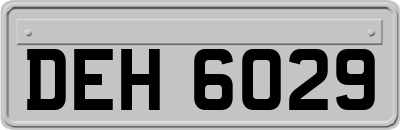 DEH6029