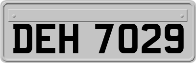 DEH7029