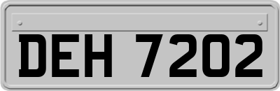 DEH7202