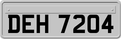 DEH7204
