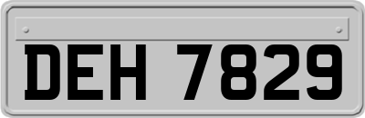 DEH7829