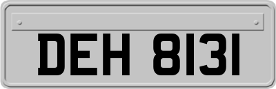DEH8131