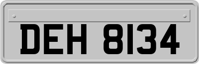 DEH8134