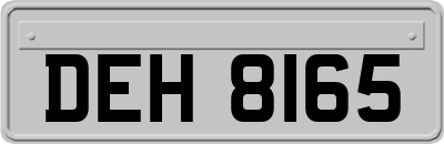 DEH8165