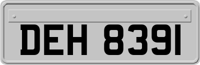 DEH8391