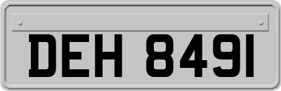 DEH8491