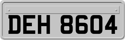DEH8604