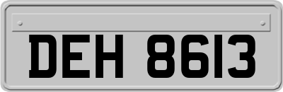 DEH8613