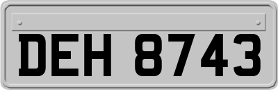 DEH8743