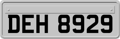 DEH8929